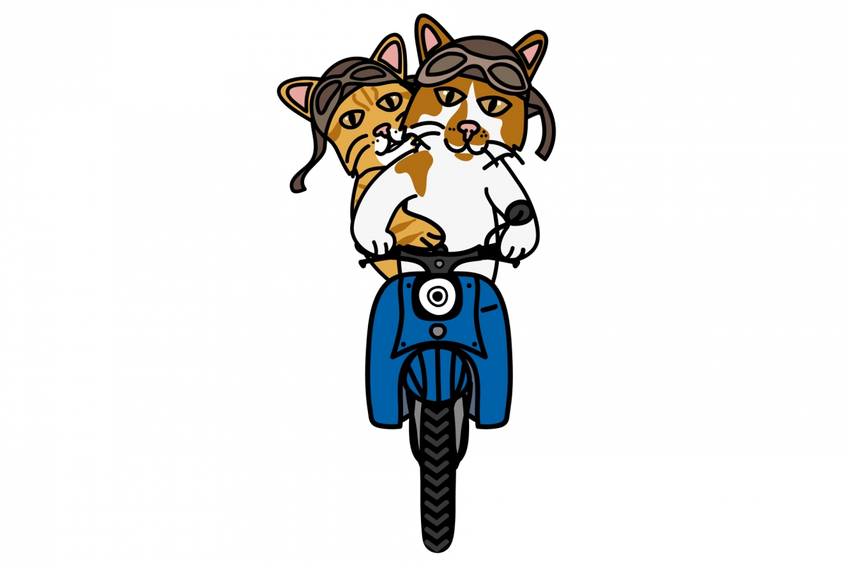 motocats