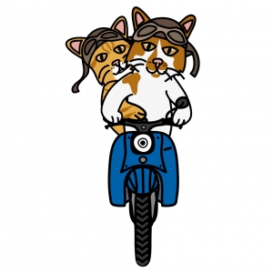 motocats