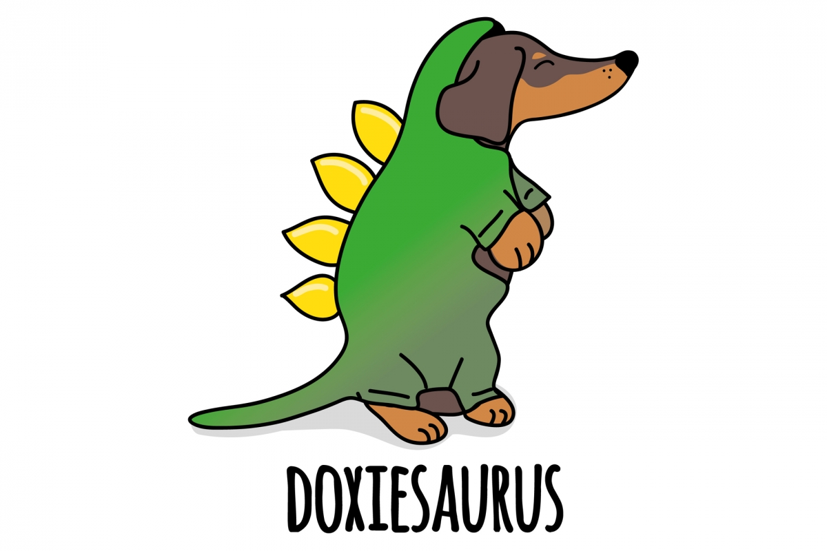 doxiesaurus